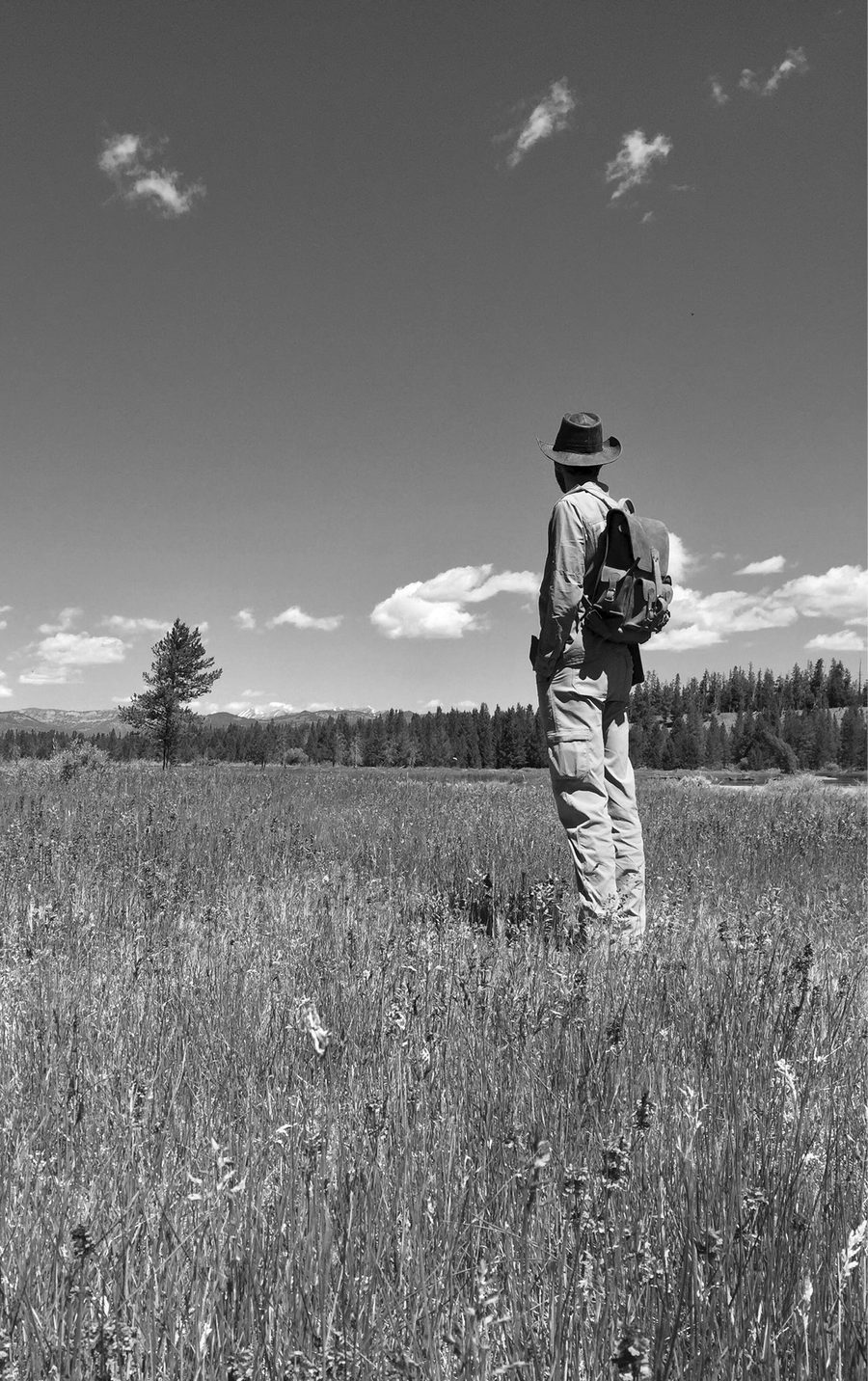 Justin in a meadow, hat and pack, back to the camera