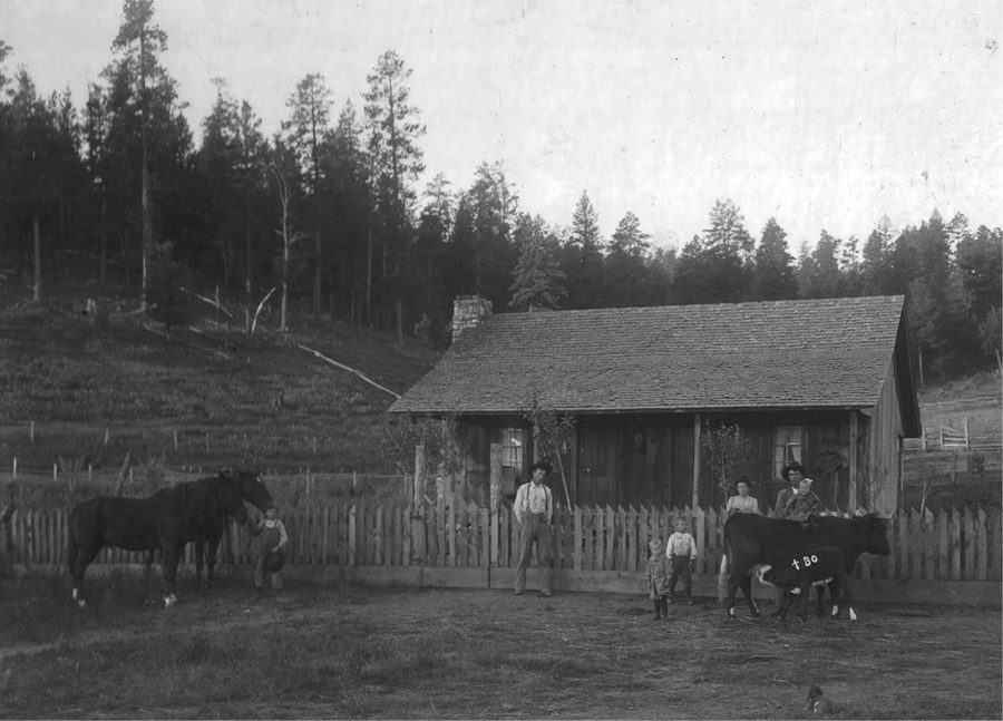 A. J. Posey's home in James Canyon, Sacramento Mountains, New Mexico, Sept. 30, 1909.