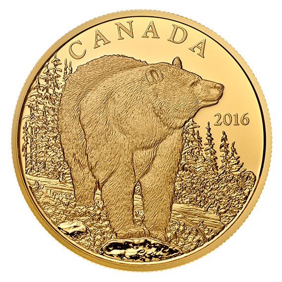 2016 Bold Black Bear gold coin reverse, bear facing right
